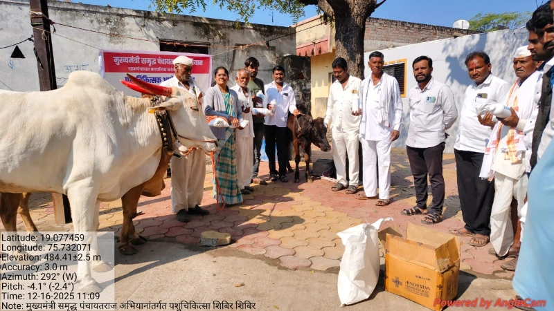 मुख्यमंत्री समृद्ध पंचायतराज अभियानांतर्गत पशुचिकित्सा शिबिराचे आयोजन