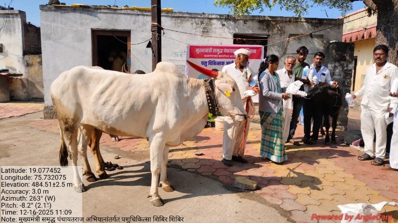 मुख्यमंत्री समृद्ध पंचायतराज अभियानांतर्गत पशुचिकित्सा शिबिराचे आयोजन