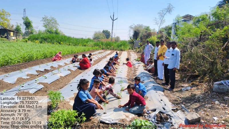 मुख्यमंत्री समृद्ध पंचायतराज अभियानांतर्गत परसबाग उपक्रम राबविण्यात आला