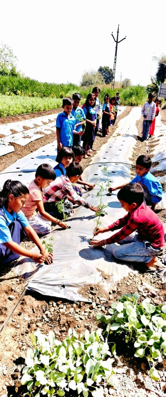 मुख्यमंत्री समृद्ध पंचायतराज अभियानांतर्गत परसबाग उपक्रम राबविण्यात आला