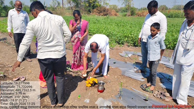 मुख्यमंत्री समृद्ध पंचायतराज अभियानांतर्गत परसबाग उपक्रम राबविण्यात आला